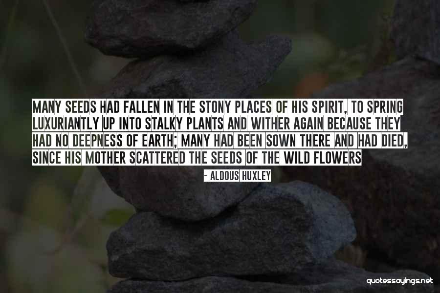 Stalky And Co Quotes By Aldous Huxley Stalky And Co Quotes By Aldous Huxley