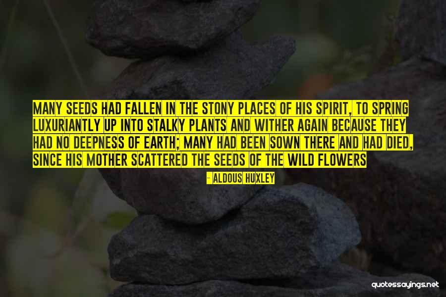 Stalky Flowers Quotes By Aldous Huxley