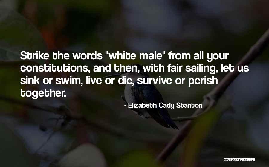 Stallholder Crossword Quotes By Elizabeth Cady Stanton Stallholder Crossword Quotes By Elizabeth Cady Stanton