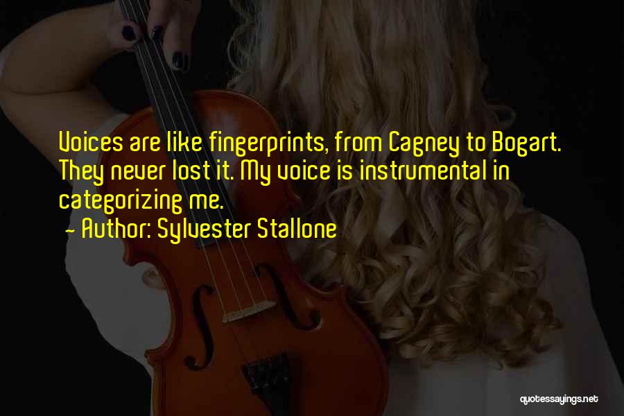 Stallone Quotes By Sylvester Stallone