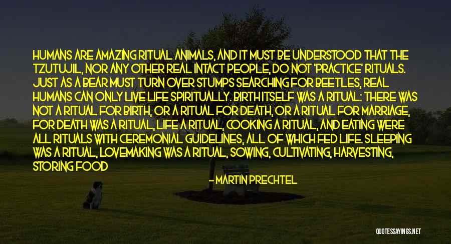 Stallworth Steelers Quotes By Martin Prechtel Stallworth Steelers Quotes By Martin Prechtel