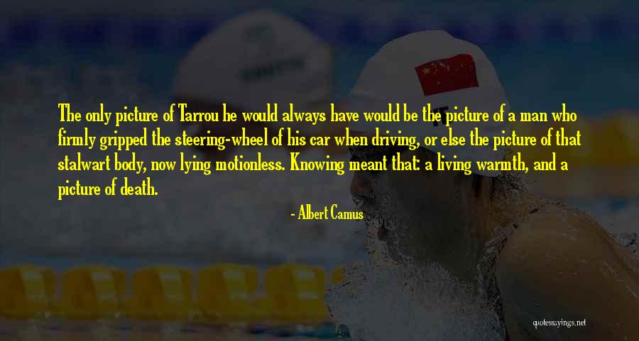 Stalwart Quotes By Albert Camus Stalwart Quotes By Albert Camus