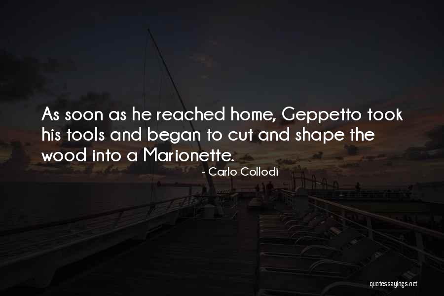 Stalzer Volleyball Quotes By Carlo Collodi Stalzer Volleyball Quotes By Carlo Collodi