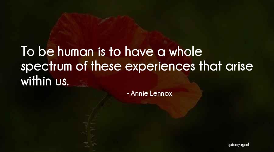 Stamberg Aferiat Quotes By Annie Lennox