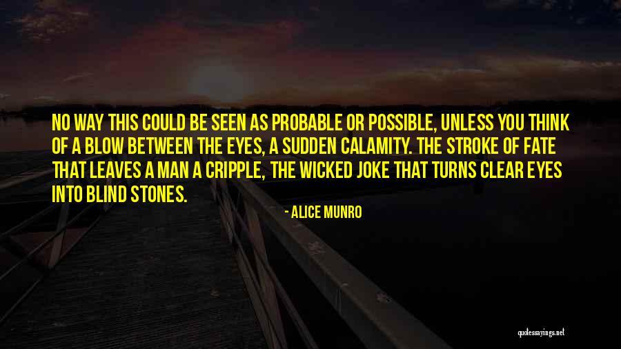 Stamenova Quotes By Alice Munro Stamenova Quotes By Alice Munro