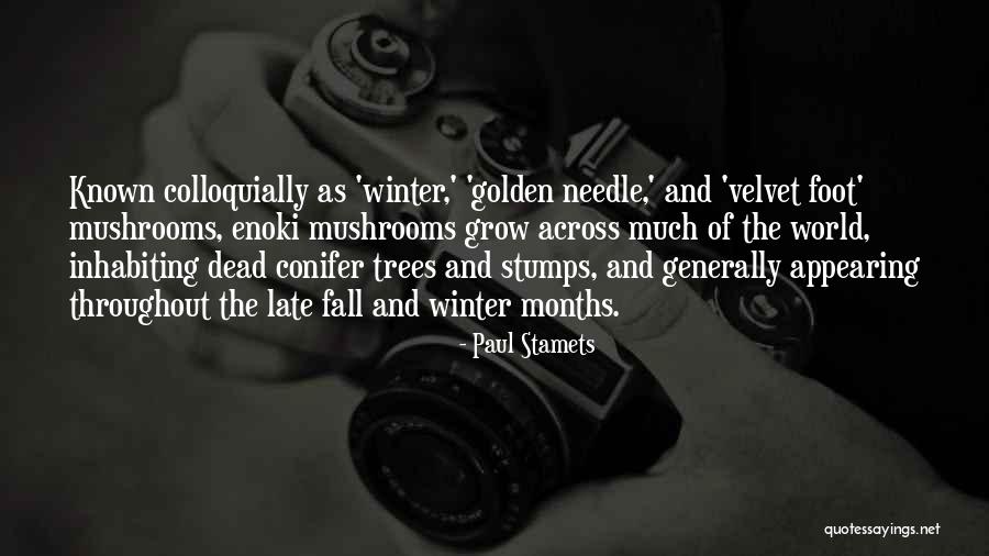 Stamets 7 Quotes By Paul Stamets Stamets 7 Quotes By Paul Stamets