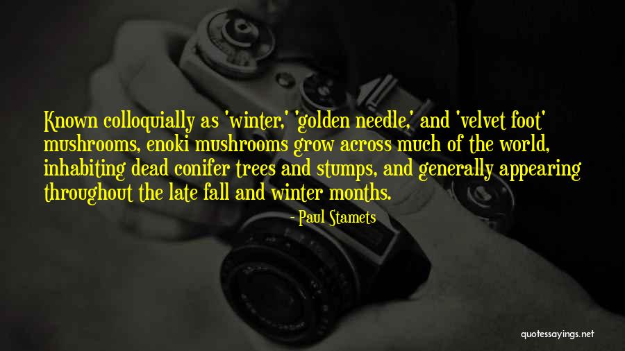 Stamets Mushrooms Quotes By Paul Stamets Stamets Mushrooms Quotes By Paul Stamets