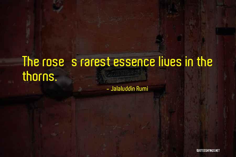 Stamie And Tracy Quotes By Jalaluddin Rumi Stamie And Tracy Quotes By Jalaluddin Rumi