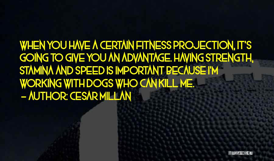 Stamina Quotes By Cesar Millan