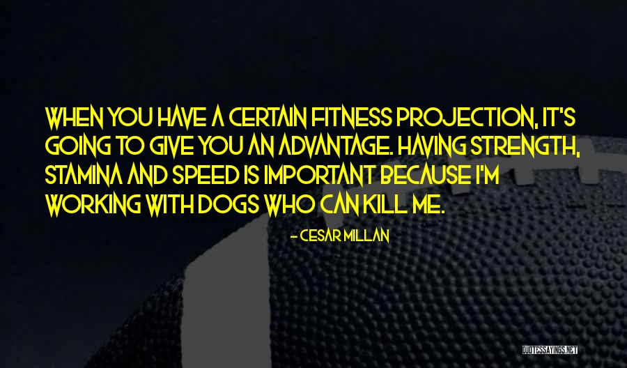 Stamina Quotes By Cesar Millan