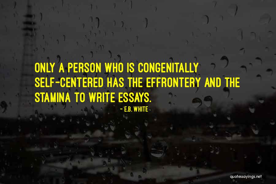 Stamina Quotes By E.B. White Stamina Quotes By E.B. White