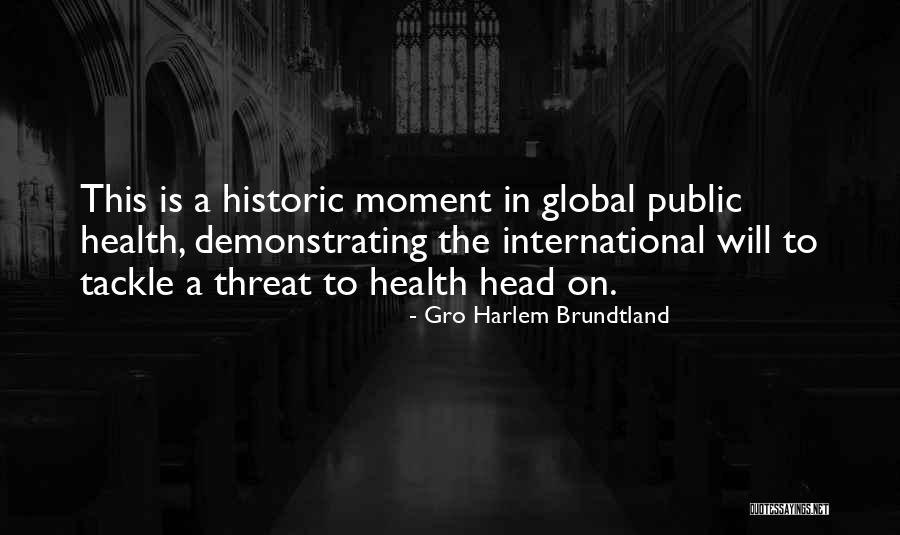 Stampa Foto Quotes By Gro Harlem Brundtland Stampa Foto Quotes By Gro Harlem Brundtland