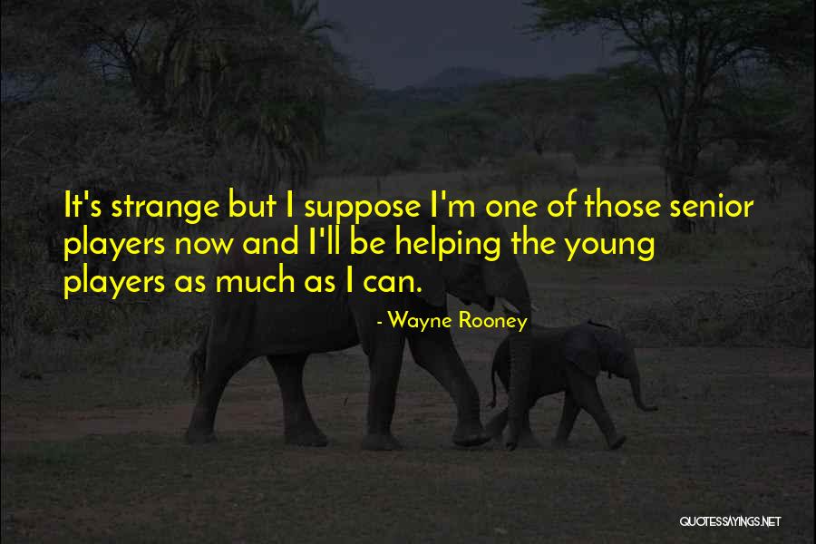 Stampanje Quotes By Wayne Rooney Stampanje Quotes By Wayne Rooney