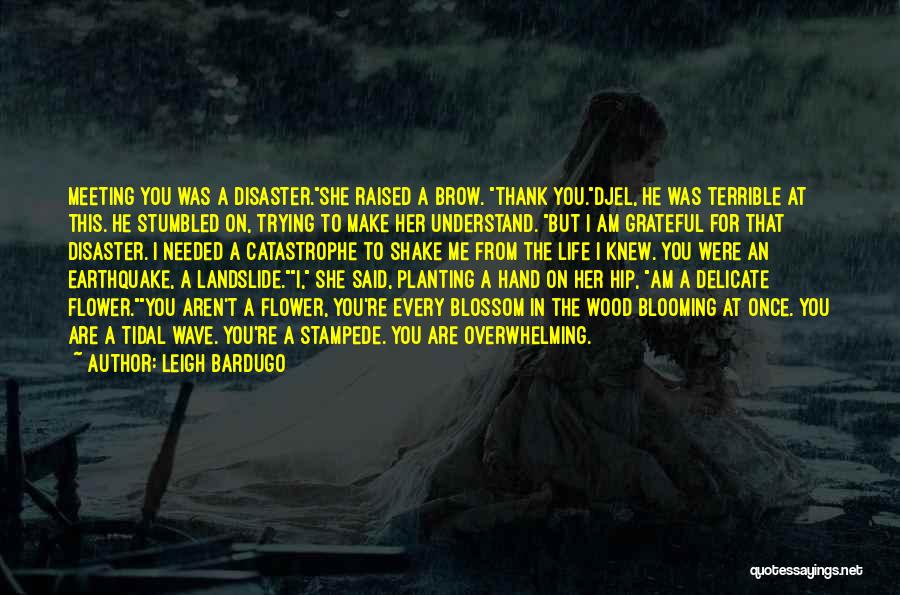 Stampede Quotes By Leigh Bardugo