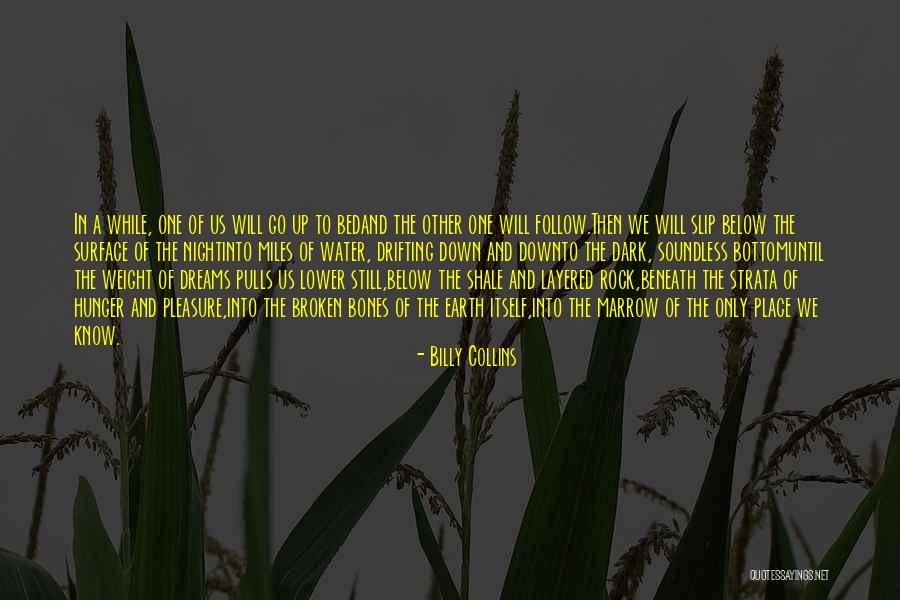 Stampeders Hit Quotes By Billy Collins Stampeders Hit Quotes By Billy Collins