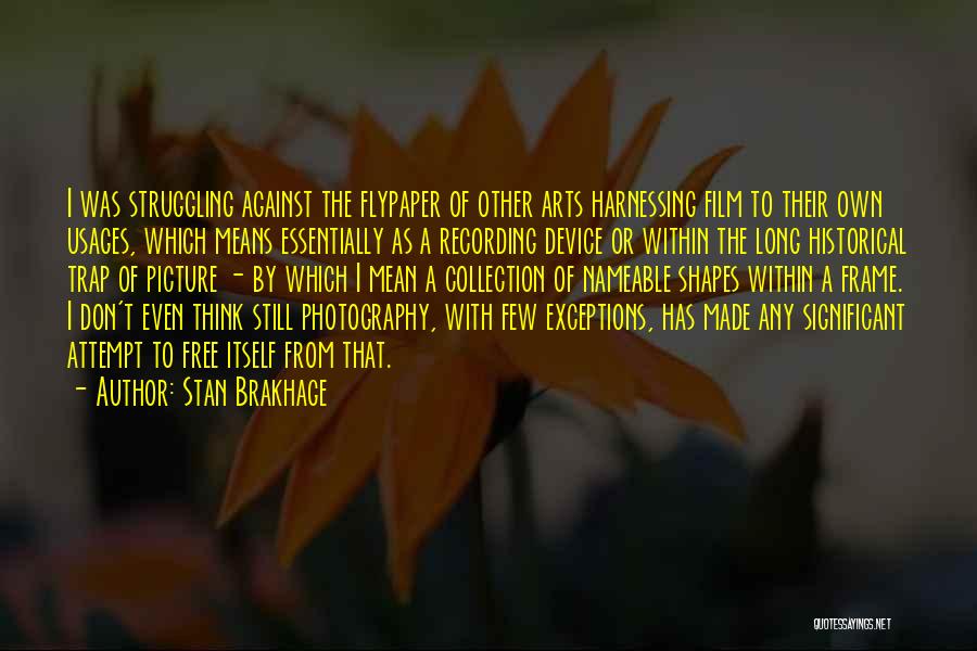 Stan Brakhage Quotes 441121