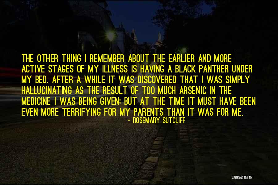 Stan Verrett Quotes By Rosemary Sutcliff