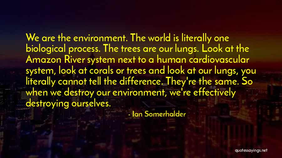 Stanched Define Quotes By Ian Somerhalder Stanched Define Quotes By Ian Somerhalder