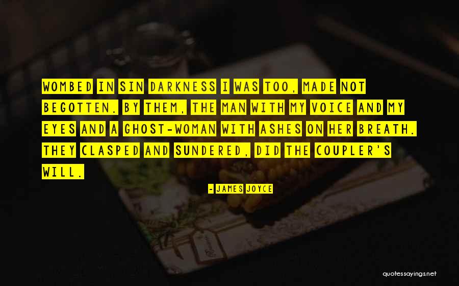 Stancu Florin Quotes By James Joyce Stancu Florin Quotes By James Joyce