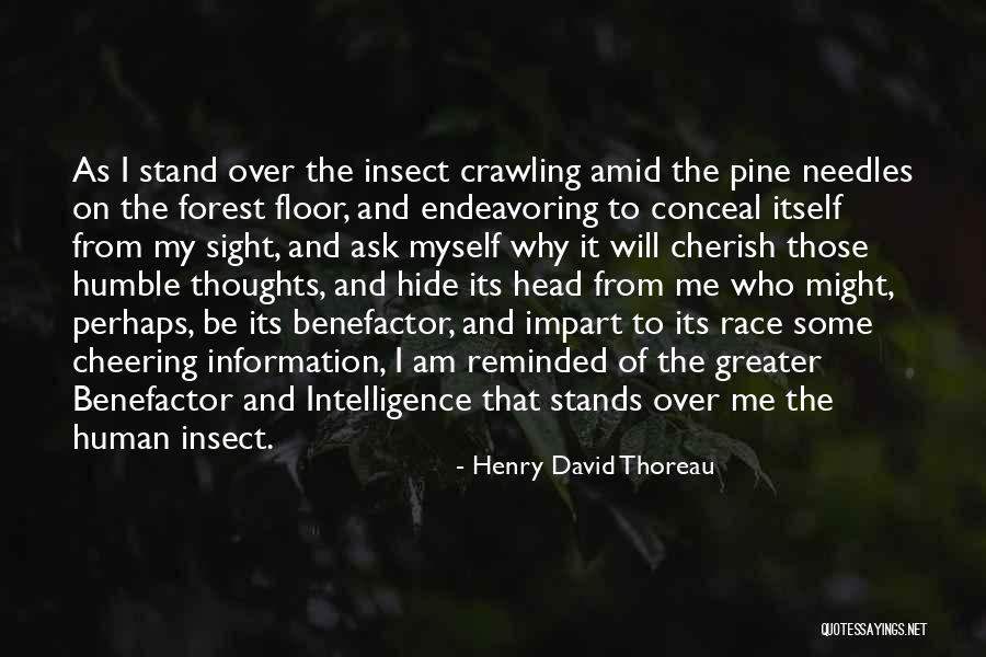 Stand Be Me Quotes By Henry David Thoreau