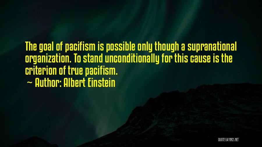 Stand For A Cause Quotes By Albert Einstein