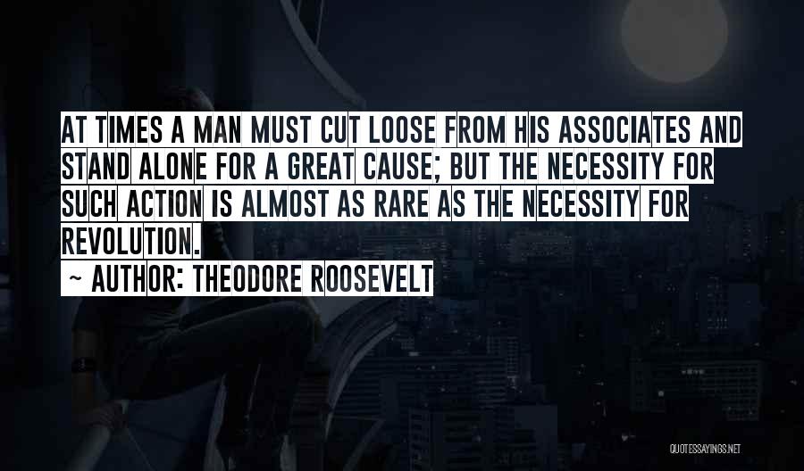 Stand For A Cause Quotes By Theodore Roosevelt