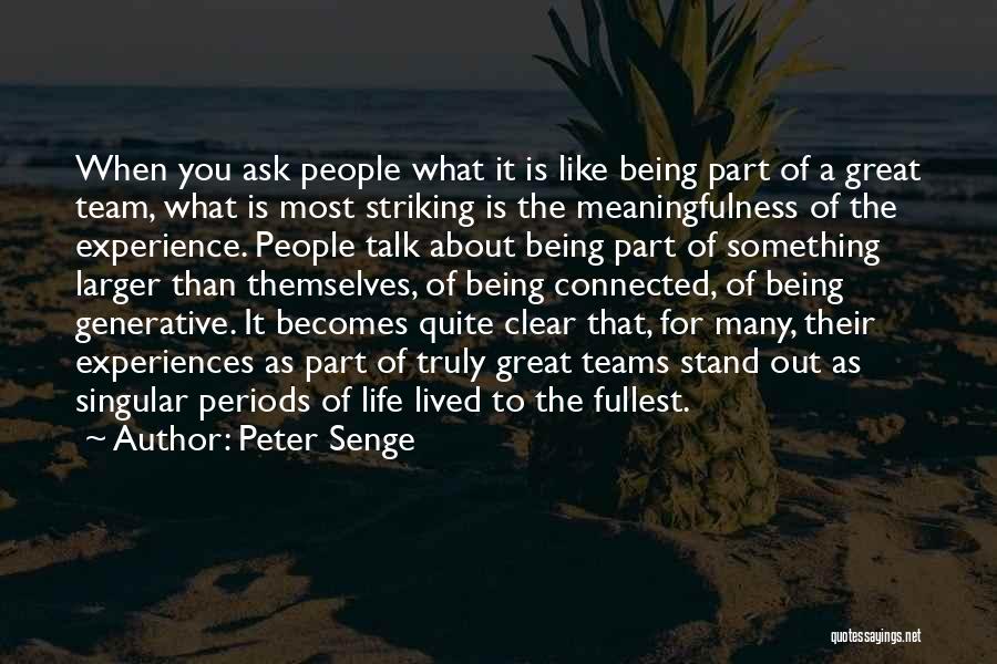 Stand For Life Quotes By Peter Senge