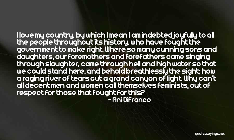 Stand For Love Quotes By Ani DiFranco