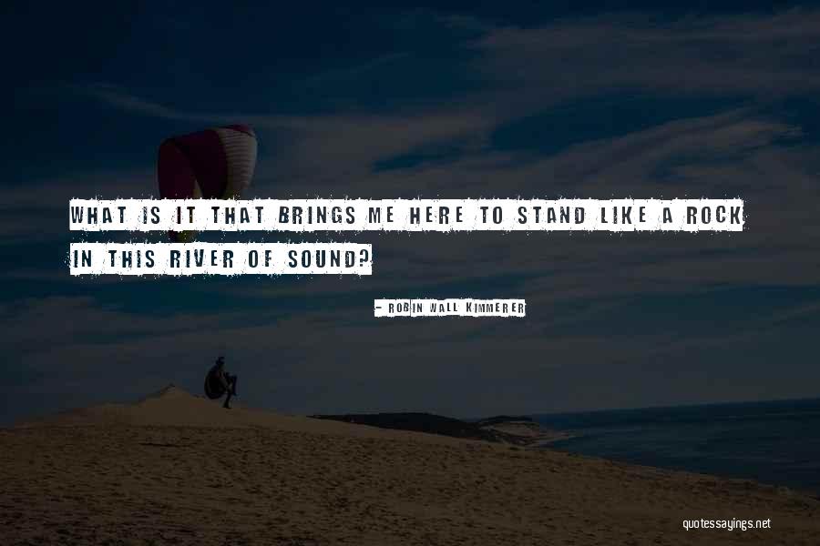 Stand Like A Rock Quotes By Robin Wall Kimmerer