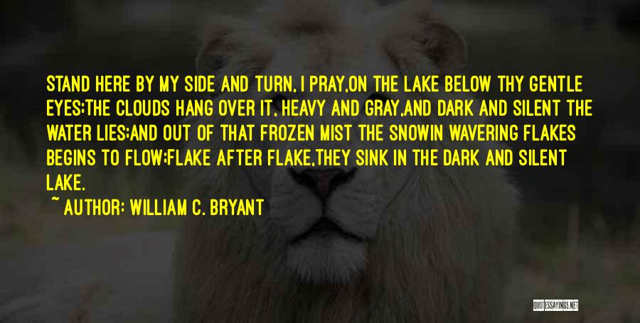 Stand My Side Quotes By William C. Bryant