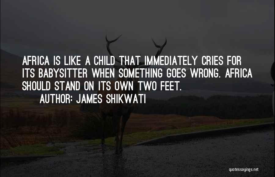 Stand On Feet Quotes By James Shikwati