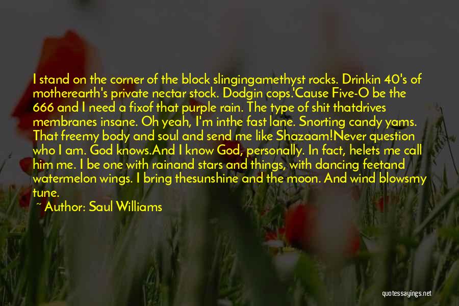 Stand On The Rock Quotes By Saul Williams
