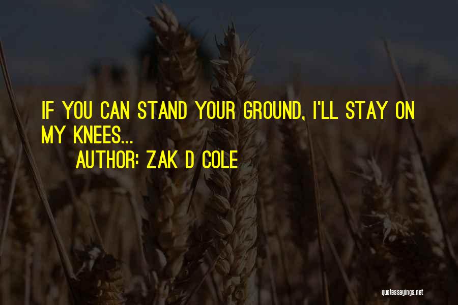 Stand On Your Ground Quotes By Zak D Cole