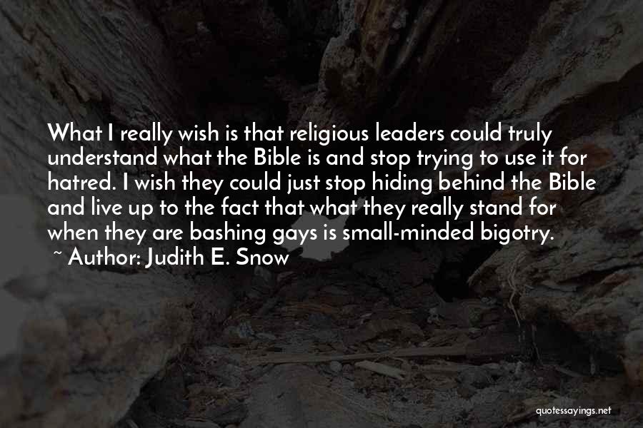 Stand Up Bible Quotes By Judith E. Snow