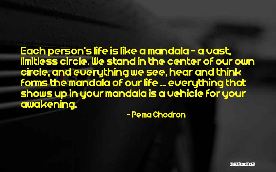 Stand Up For Your Life Quotes By Pema Chodron