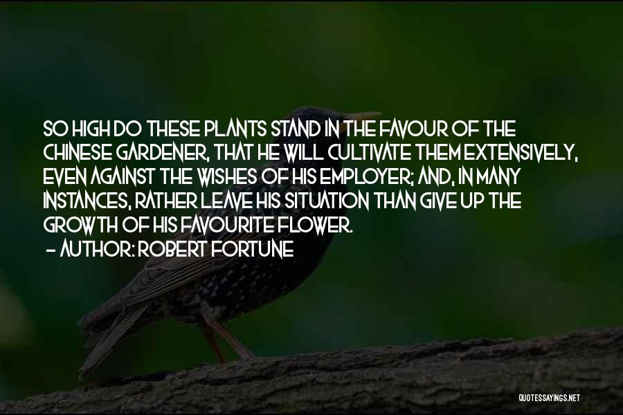 Stand Up High Quotes By Robert Fortune