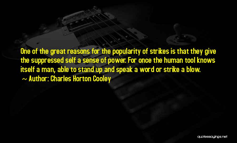 Stand Up Quotes By Charles Horton Cooley