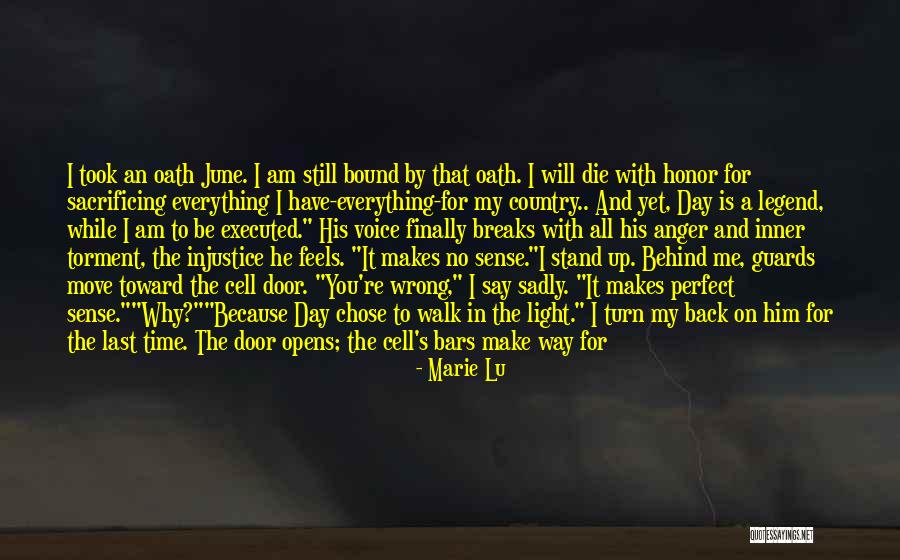 Stand Up To Injustice Quotes By Marie Lu Stand Up To Injustice Quotes By Marie Lu