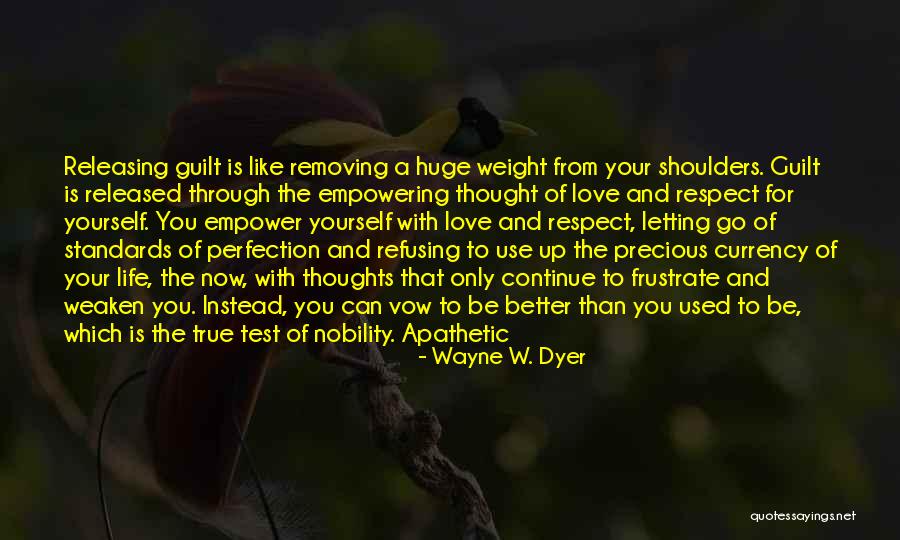 Standards And Respect Quotes By Wayne W. Dyer