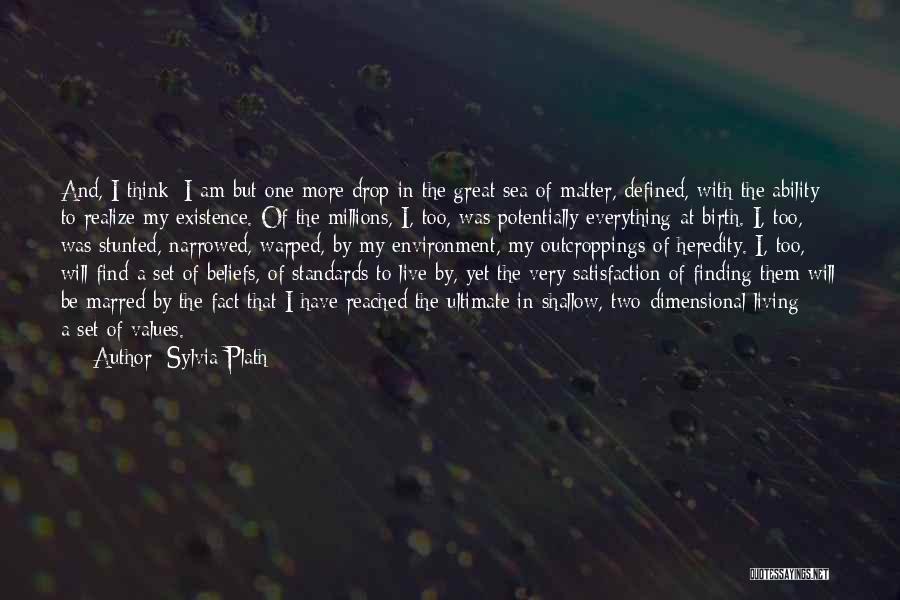Standards And Values Quotes By Sylvia Plath