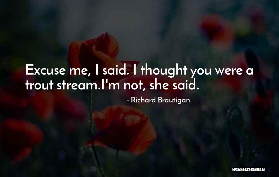 Stander Movie Quotes By Richard Brautigan