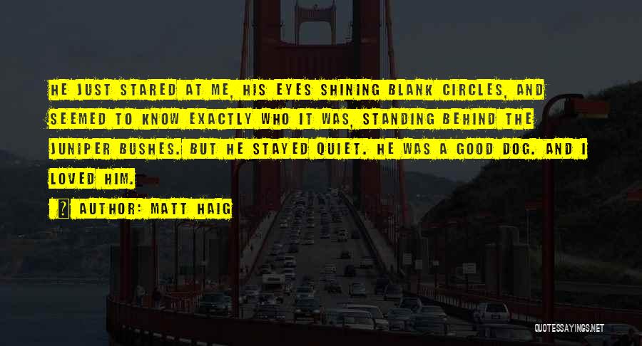 Standing Behind Me Quotes By Matt Haig