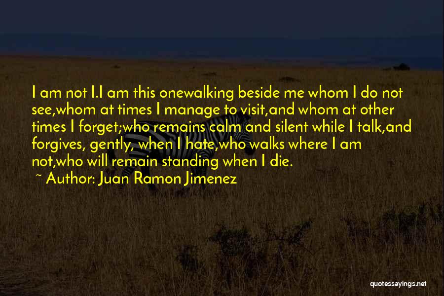 Standing Beside Me Quotes By Juan Ramon Jimenez