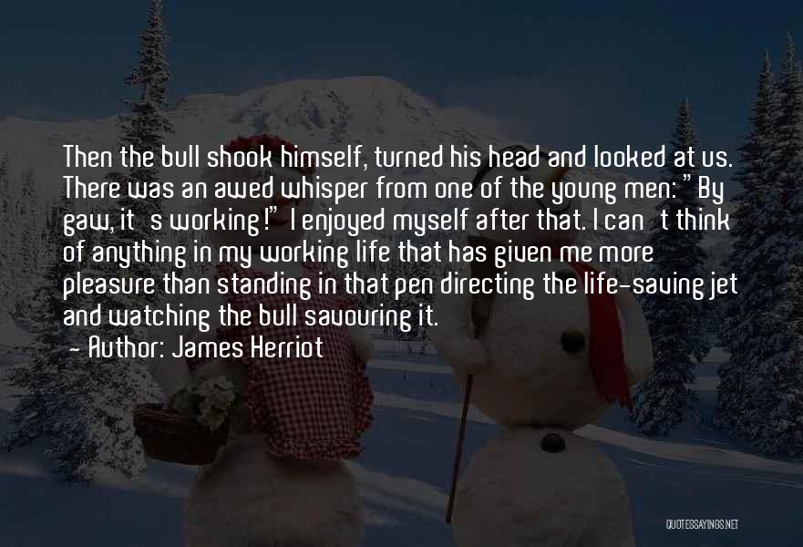 Standing By Myself Quotes By James Herriot