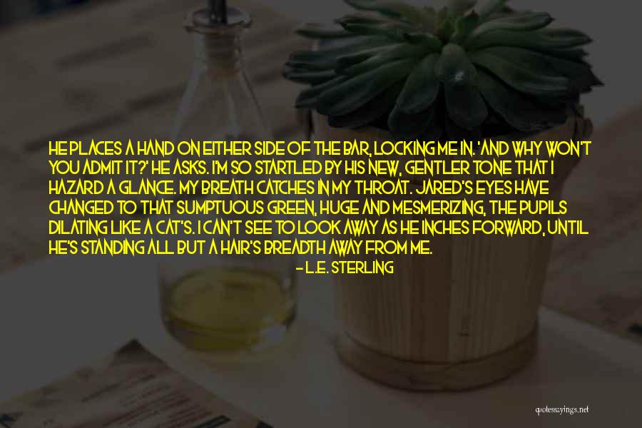 Standing By Side Quotes By L.E. Sterling