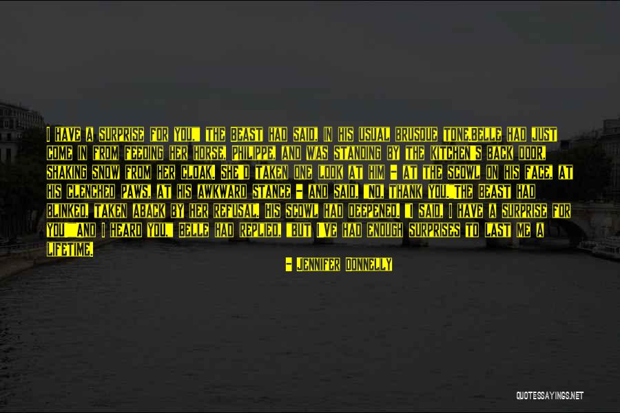 Standing For What It Right Quotes By Jennifer Donnelly Standing For What It Right Quotes By Jennifer Donnelly