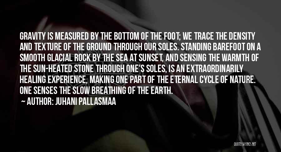 Standing Ground Quotes By Juhani Pallasmaa