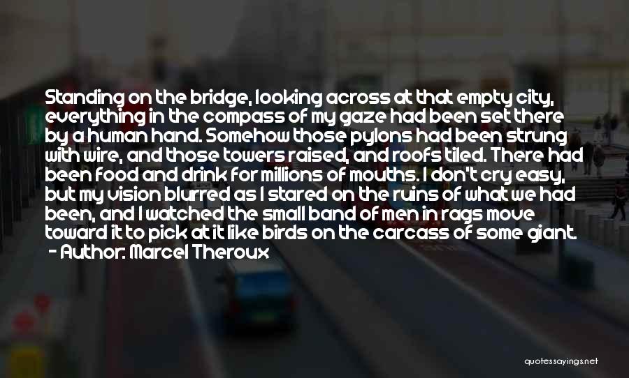 Standing On Bridge Quotes By Marcel Theroux