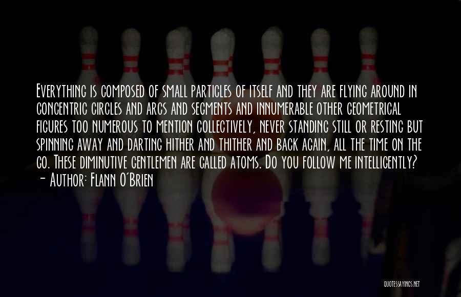 Standing Still In Time Quotes By Flann O'Brien