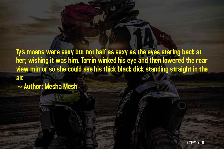 Standing Straight Quotes By Mesha Mesh